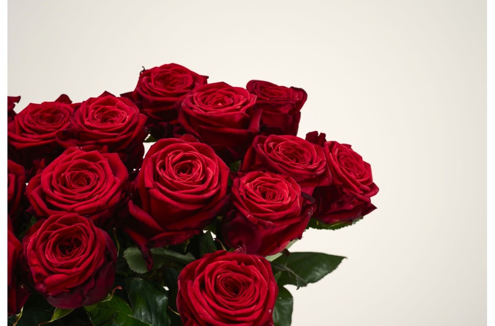 Op Valentijnsdag verras jij jouw geliefde met Rozen van Rozen.nl!
